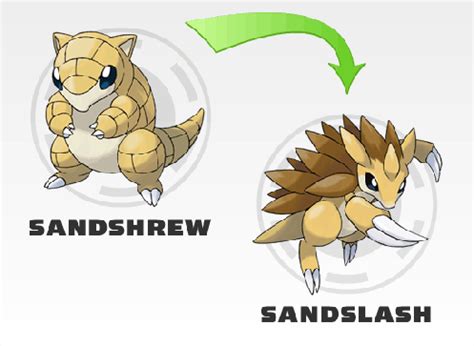 sandslash evolution level